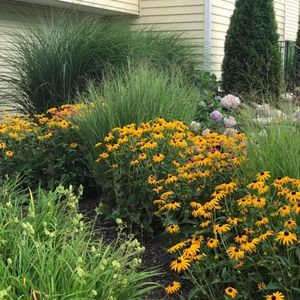 Meet your Posher, Terri